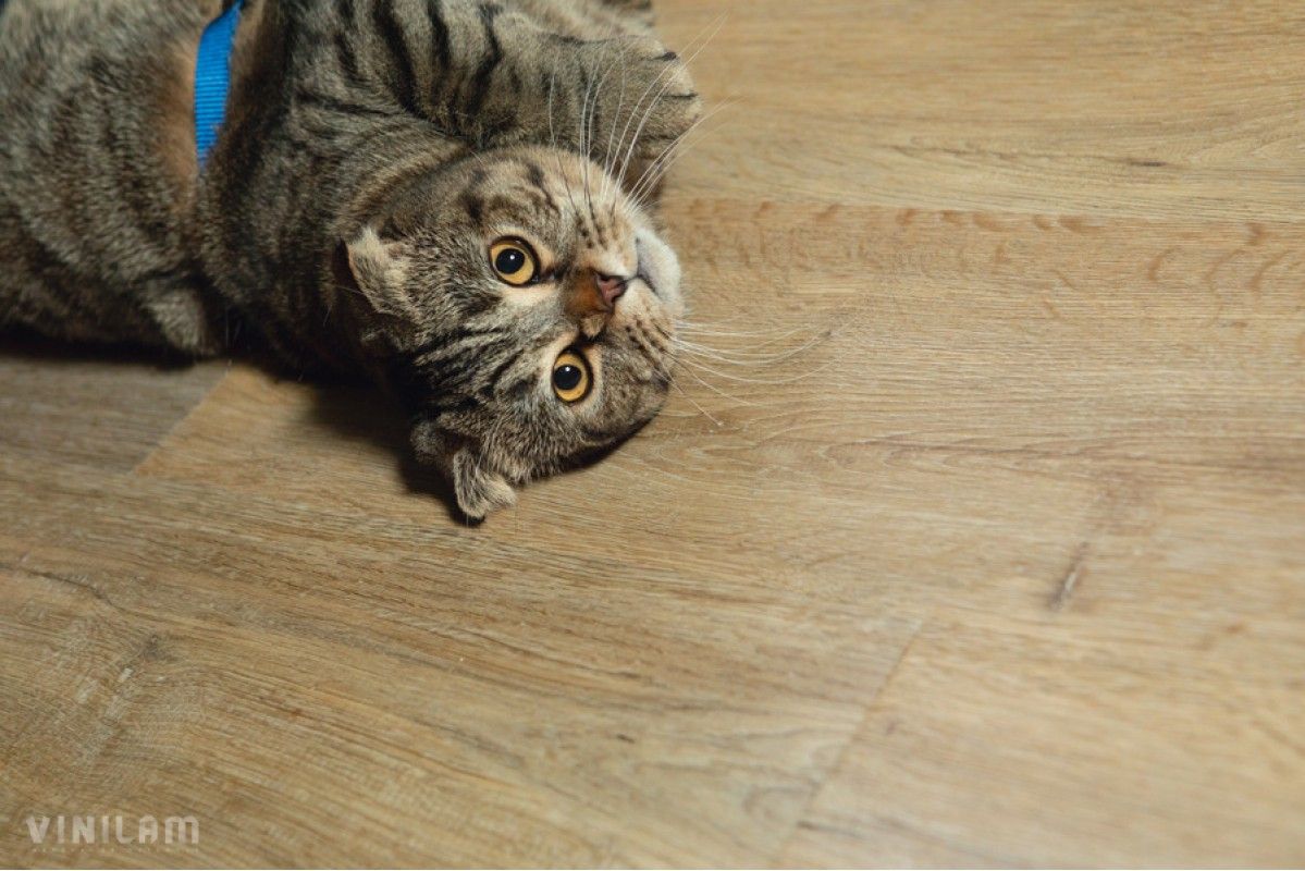 Кварцвиниловая плитка Vinilam Click 4 мм Дуб Дрезден 88006012