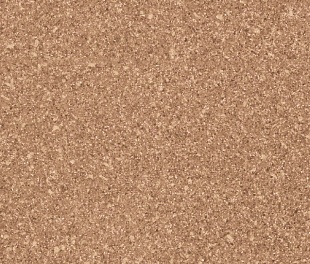 Линолеум PROFI SIRIUS SONATA 2 (4)