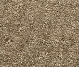 Ковролин Tarkett ДРАГОН 10431 (3м, 8мм)