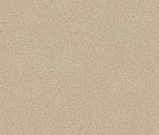 Линолеум PROFI Strong Plus GRANITE 5 (4)