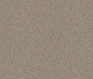 Линолеум PROFI PREMIUM NEVADA 2 (4)