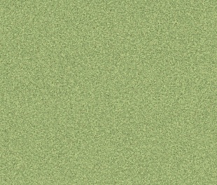 Линолеум PROFI PREMIUM NEVADA 6 (4)