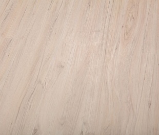 Кварцвиниловая плитка Refloor Home Ольха Йеллоустоун WS 8820