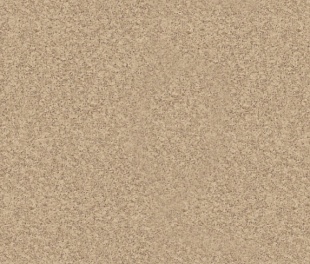 Линолеум PROFI PREMIUM NEVADA 1 (2,5)