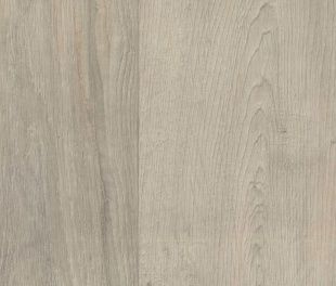 Линолеум Tarkett Idylle Nova Caruso 1 (3,1)