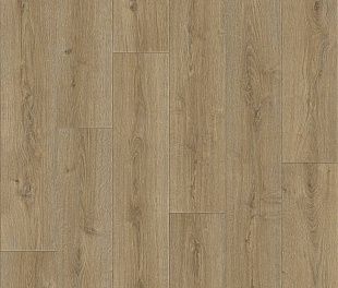 Линолеум NON-BRAND Praktika Bruno 2 (2)