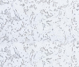 Пробковое покрытие Ibercork Настенное Classic EasyCork Сафра Пробковое покрытие Ibercork Настенное Classic EasyCork Сафра