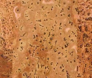 Пробковое покрытие CORKART Promo 386 NN (PK3 386 S-4.0)