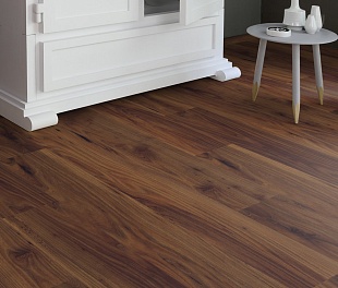 Ламинат Kaindl Easy Touch 8-32 ПРЕМИУМ Глянец Вяз Лючия Р80100 HG