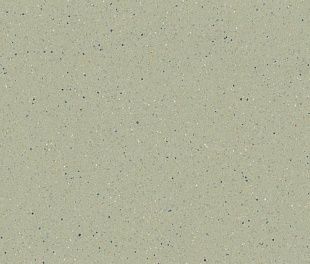 Линолеум Tarkett iQ ZENITH 705