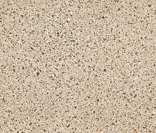 Линолеум PROFI PREMIUM AS VENETTO 2 (3)