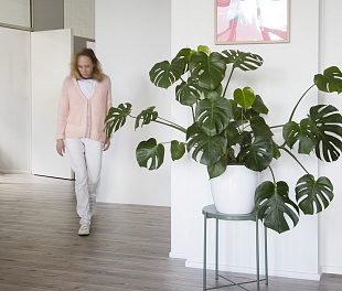 Ламинат Berry Alloc Узкая 8 мм 6200-1548