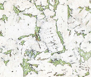 Пробковое покрытие Ibercork Настенное Classic EasyCork Крем лима Пробковое покрытие Ibercork Настенное Classic EasyCork Крем лима