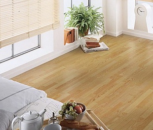 Паркетная доска Sinteros EUROPARKET Ясень сахара