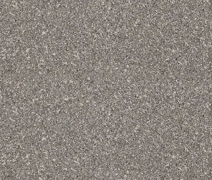 Линолеум PROFI SIRIUS SONATA 5 (4)