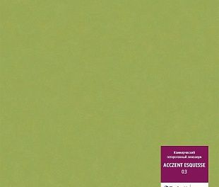 Линолеум Tarkett Acczent Esquisse Esquisse 03 Линолеум Tarkett Acczent Esquisse Esquisse 03