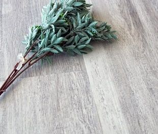 Кварцвиниловая плитка Alpine floor EASY LINE ЕСО 3-19 ДУБ ПОЛЯРНЫЙ