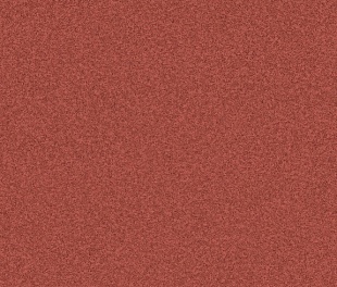 Линолеум PROFI PREMIUM NEVADA 5 (3,5)