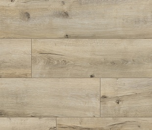 Ламинат Classen Harmony Forte WR 56613 Дуб Тренто\Трудент Ламинат Classen Harmony Forte WR 56613 Дуб Тренто\Трудент