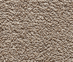 Ковролин BALTA GLORIANA 850 (5м, 10мм)