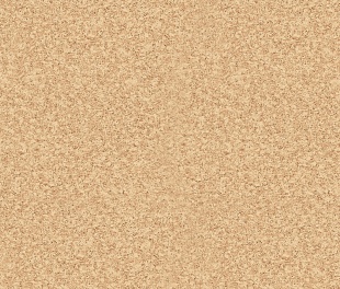 Линолеум PROFI PREMIUM AS NEVADA 4 (4)