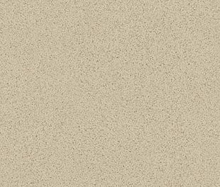 Линолеум PROFI MASTER SONORA 3 (2,5)