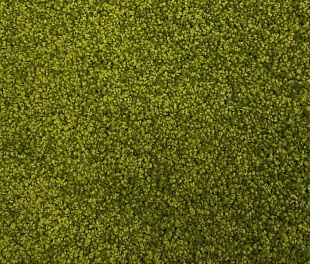 Ковролин Urggazcarpet LIBERTI 16-ZELYONIY-10093 (4м, 15мм)