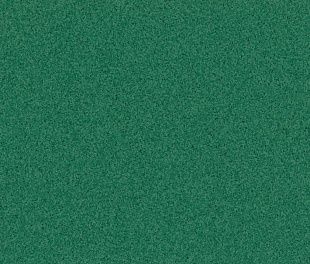 Линолеум Tarkett PRIMO PLUS 312