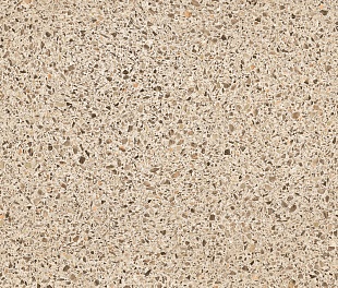 Линолеум PROFI PREMIUM AS VENETTO 2 (2,5)