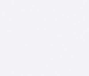 Ламинат Falquon Colorita 1010