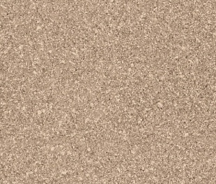 Линолеум PROFI SIRIUS SONATA 3 (3)