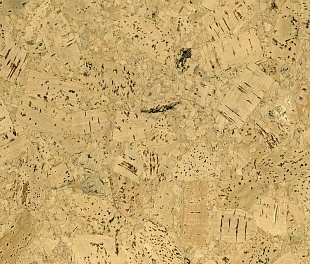 Пробковое покрытие Ibercork Настенное Classic Эвора Пробковое покрытие Ibercork Настенное Classic Эвора