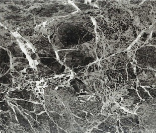 Кварцвиниловая плитка Wonderful Vinyl Floor Stonecarp SN17-07-19 Бельведер Dark Кварцвиниловая плитка Wonderful Vinyl Floor Stonecarp SN17-07-19 Бельведер Dark