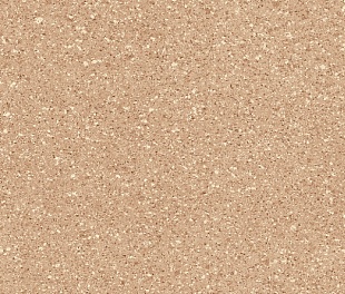 Линолеум PROFI VECTOR ARES 1 (2,5)