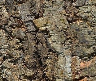 Пробковое покрытие Granorte Настенное PB-W Мато (Mato)