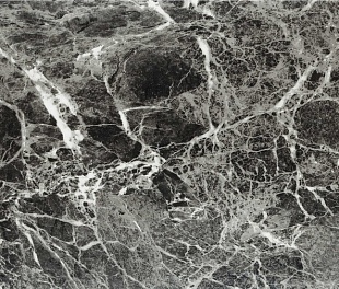 Кварцвиниловая плитка Wonderful Vinyl Floor Stonecarp SN17-07 Бельведер