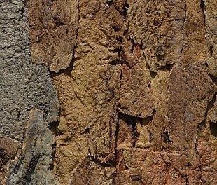 Пробковое покрытие Granorte Настенное PB-W Хорта (Horta)