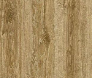 Ламинат HomeFloor Elegance Дуб Монпелье