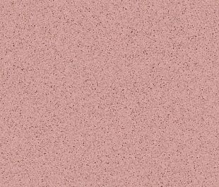 Линолеум Tarkett PRIMO PLUS 307