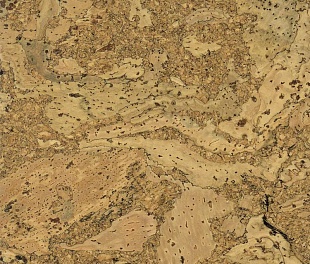 Пробковое покрытие Ibercork Classic Толедо