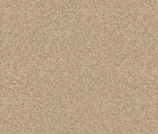 Линолеум PROFI PREMIUM AS NEVADA 1 (4)