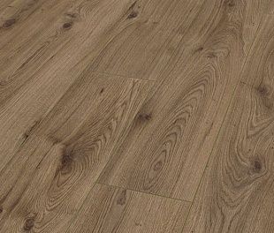 Ламинат Maestro Club Alternative Дуб премиум