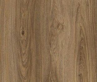 Ламинат HomeFloor Elegance Дуб Трамонт