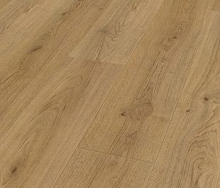 Ламинат Maestro Club Alternative Дуб тренд