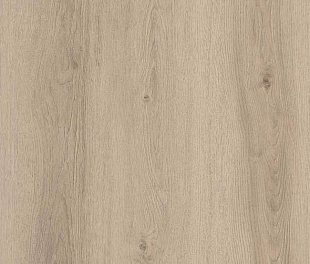 Ламинат Floorpan (Kastamonu) Orange Дуб лунный FP951