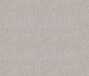 Линолеум PROFI MASTER PROXI 2 (2,5)