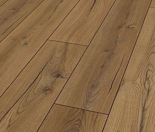 Ламинат Maestro Club Alternative Дуб элит