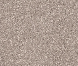 Линолеум PROFI SIRIUS SONATA 1 (2,5)