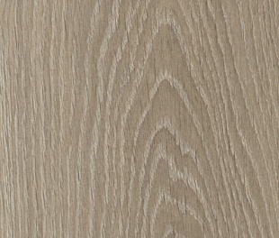 Ламинат Epi (Alsafloor) Strong Solid Дуб Невада S449