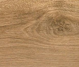 Ламинат Floorwood Optimum Дуб Белый 491 LP